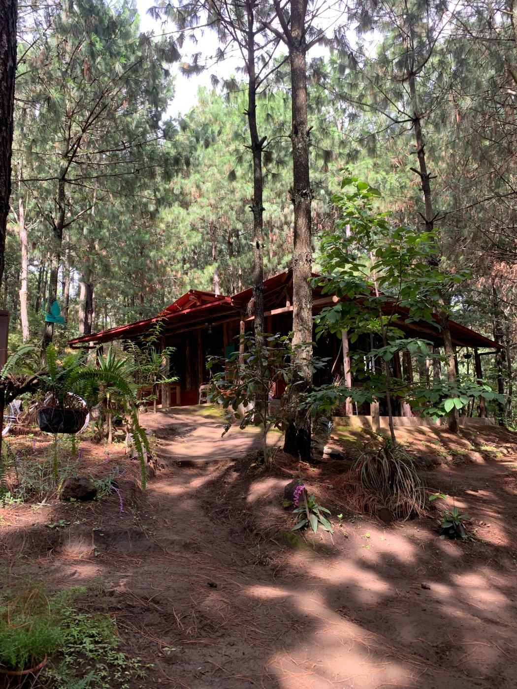 Imagen de finca-boscosa-itzapa
