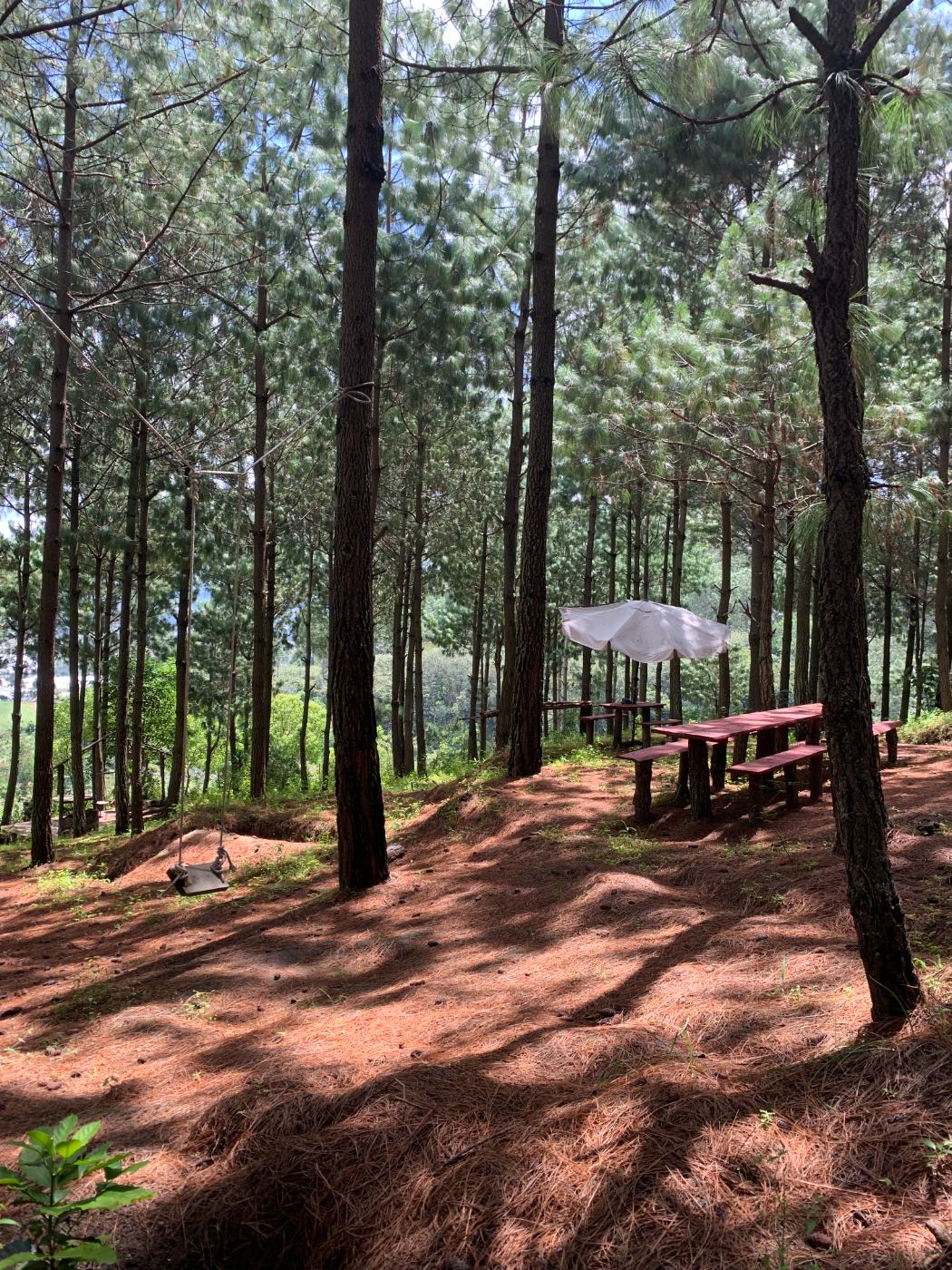 Finca boscosa en Itzapa, fotografía 7 de 8